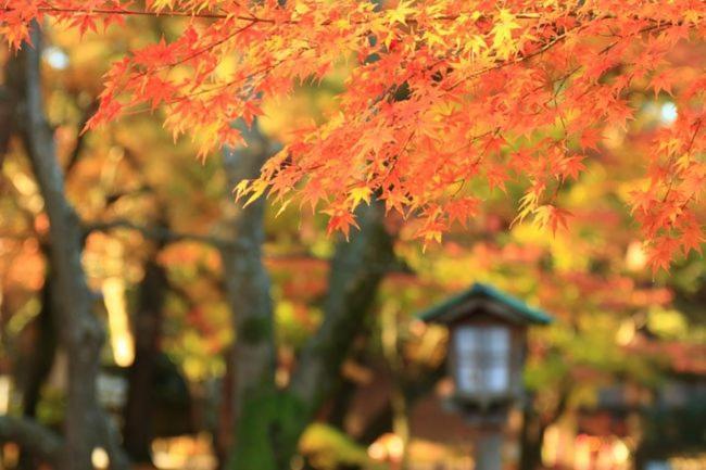 Kanazawa Machiya Inn Hana Dış mekan fotoğraf